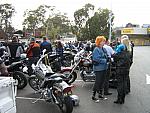 IMG 0982