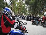 IMG 0994