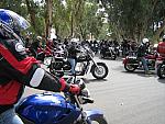 IMG 0996