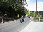 IMG 1064