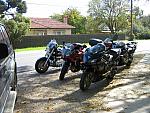 IMG 1134