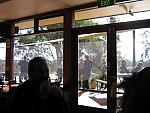 IMG 1518