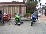 IMG 1778