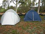 IMG 1819