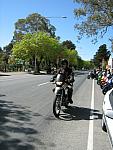 IMG 2031