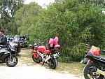 IMG_2310.JPG