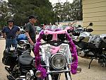 IMG_2313.JPG