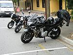 IMG_2528.JPG