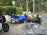 IMG_2529.JPG