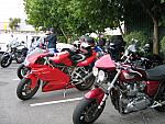 IMG_2867.JPG