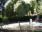 IMG_3415.JPG