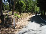 IMG_3416.JPG