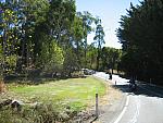 IMG_3450.JPG