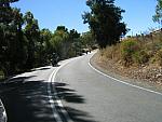 IMG_3453.JPG