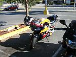 IMG_3483.JPG