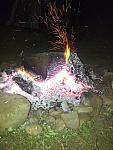 Campsite - Ebi