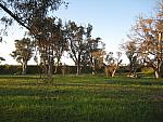 IMG_8317.JPG