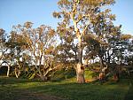 IMG_8318.JPG