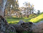 IMG_8321.JPG