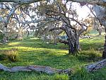IMG_8330.JPG