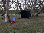 IMG 1294