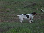 IMG 1583