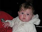 IMG 1588
