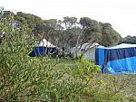 IMG 1642