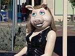 DSC01149