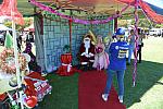 ToyRun2016 H418