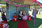 ToyRun2016 H420