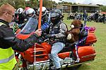 ToyRun2017 1073