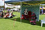 ToyRun2017 119