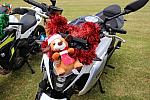 ToyRun2022 1736
