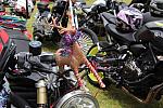 ToyRun2022 1762