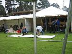IMG_7781 (Medium).JPG