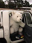 IMG_0117.JPG