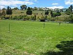 IMG_5916.JPG