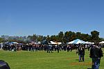 DSC_1353.jpg