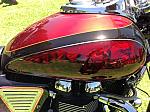 IMG_0993.jpg