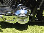 IMG_1002.jpg