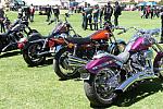 P1020579 S&S TR 2012.JPG