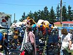 IMG 4990