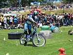 IMG 5003